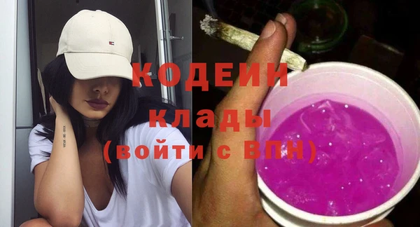 дурь Няндома