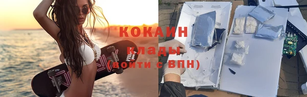 дурь Няндома