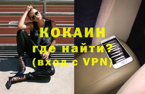 дурь Няндома