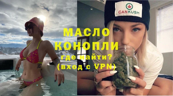 дурь Няндома