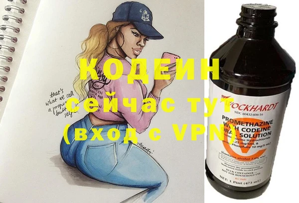 дурь Няндома