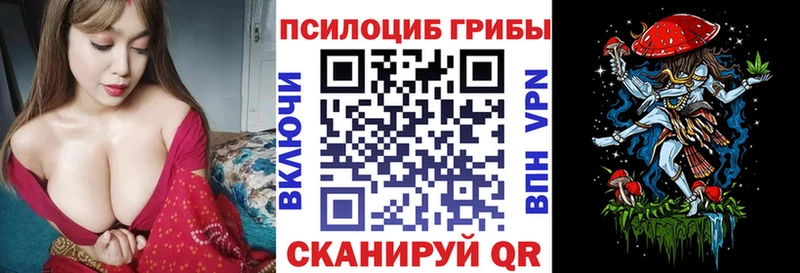 Псилоцибиновые грибы Psilocybine cubensis  Курск 